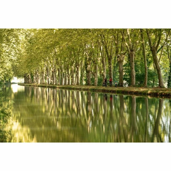 VÉLO TOUT CHEMIN RIVERSIDE 500 BLEU 17 VÉLO TOUT CHEMIN RIVERSIDE 500 BLEU – Image 17