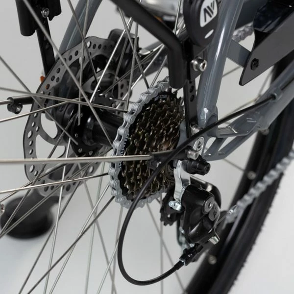 VÉLO VILLE ÉLECTRIQUE - NEOMOUV ALLEGRIA 2 HYDRAULIQUE - GRAPHITE 5 VÉLO VILLE ÉLECTRIQUE - NEOMOUV ALLEGRIA 2 HYDRAULIQUE - GRAPHITE – Image 5