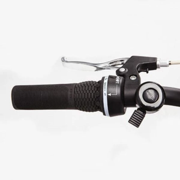 VELO VILLE LONGUE DISTANCE HOPRIDER 100 CADRE BAS 11 VELO VILLE LONGUE DISTANCE HOPRIDER 100 CADRE BAS – Image 11