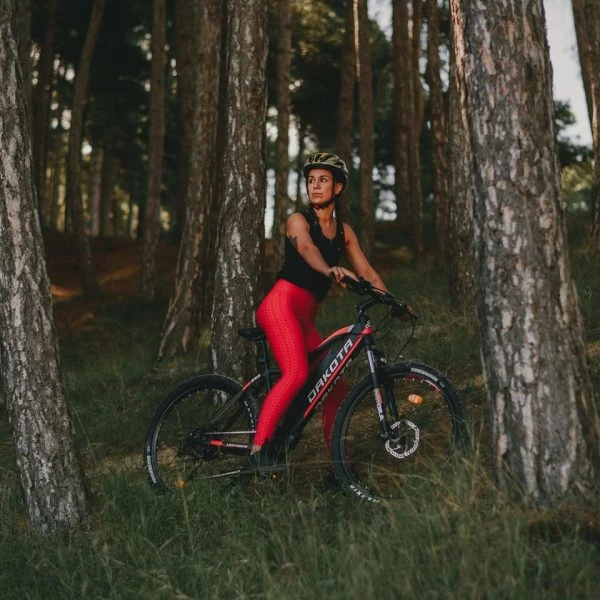 VÉLO VTT ÉLECTRIQUE DAKOTA ROUGE ALL MOUNTAIN 4 VÉLO VTT ÉLECTRIQUE DAKOTA ROUGE ALL MOUNTAIN – Image 4